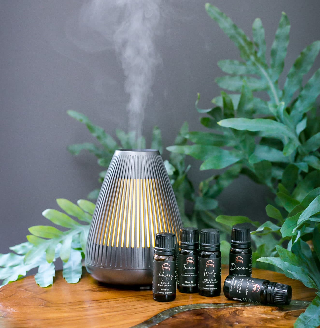 DIVINE Dark Amber & Sandalwood Mood Oil 10ml - Image 4